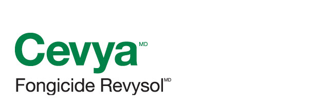 Cevya logo